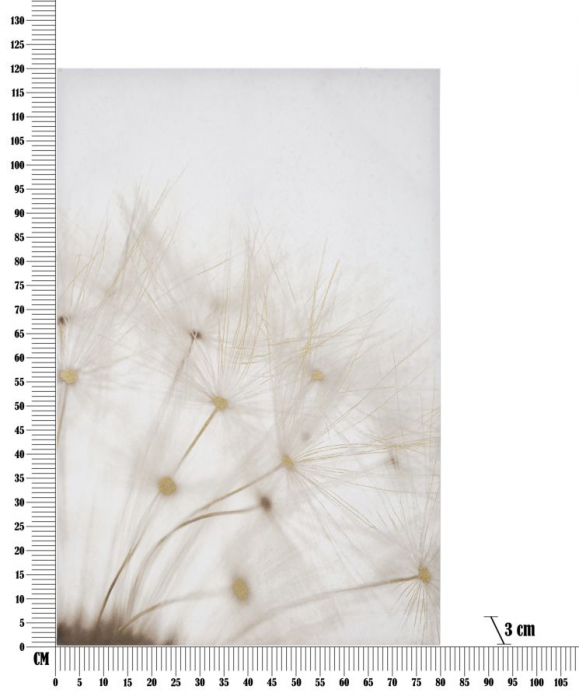 Tablou cu păpădie detaliată 80x120 cm – estetică naturală, structură solidă din lemn, perfect pentru spații wellness sau interioare cu design soft [6]