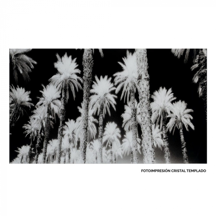 Tablou palmieri monocrom – sticlă securizată, design panoramic 120x70 cm [1]