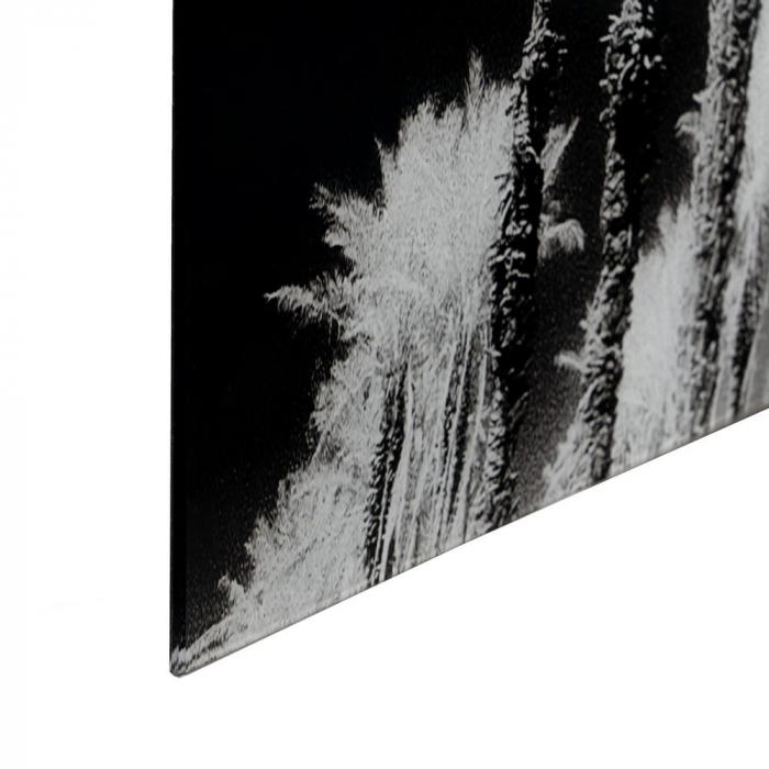 Tablou palmieri monocrom – sticlă securizată, design panoramic 120x70 cm [5]