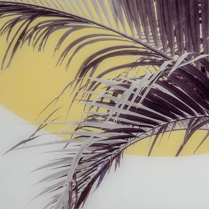 Tablou frunze palmier fundal galben – canvas pătrat tropical 100x100 cm [2]