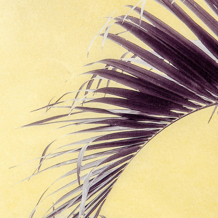 Tablou frunze palmier fundal galben – canvas pătrat tropical 100x100 cm [3]