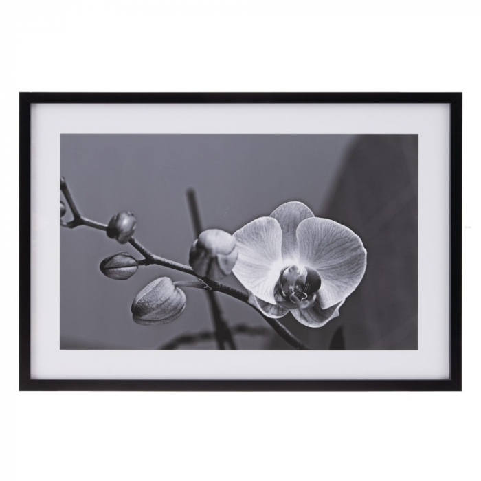 Tablou floral alb-negru cu orhidee – format orizontal 65x95 cm [1]