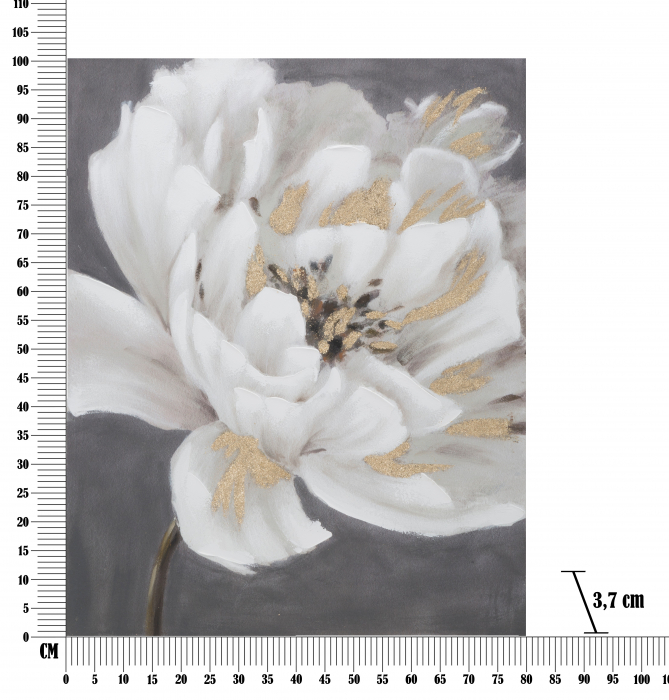 Tablou Flori, canvas/lemn pin, multicolor [6]