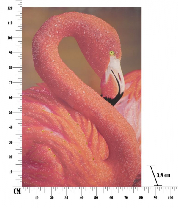 Tablou Flamingo Vibrant cu Detalii Fine CreativDeco [8]