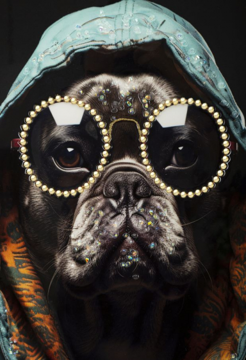 Tablou Pug Gluga Turcoaz Ochelari - CreativDeco [3]
