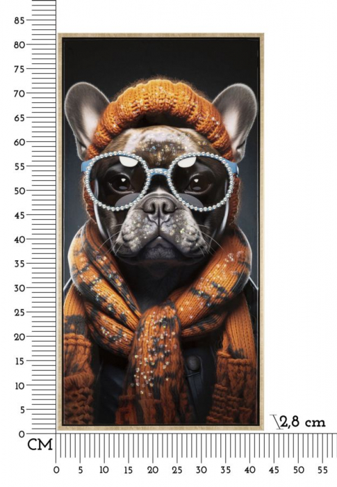 Tablou Bulldog Francez Accesorii Portocalii - CreativDeco [8]