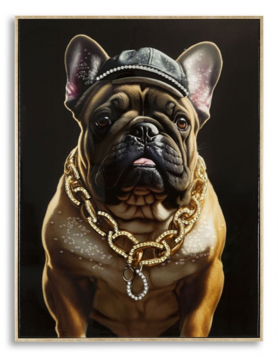 CreativDeco Bulldog Francez Urban - Personalitate si Stil [2]
