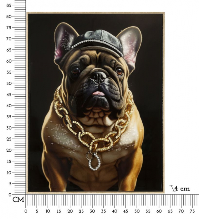 CreativDeco Bulldog Francez Urban - Personalitate si Stil [8]