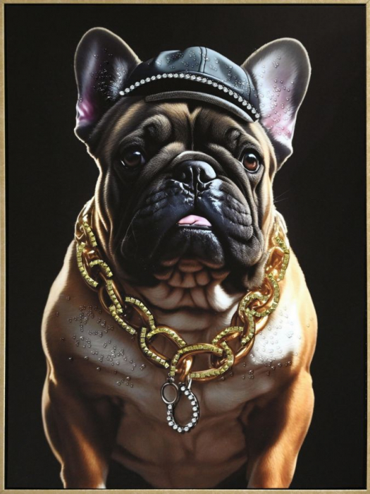 CreativDeco Bulldog Francez Urban - Personalitate si Stil [1]