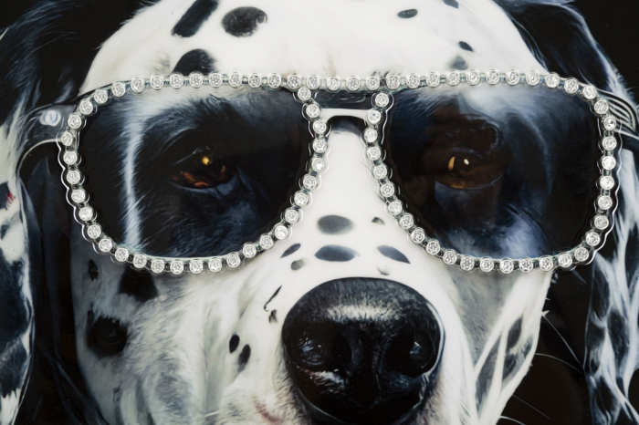 CreativDeco Tablou Dalmatian Elegant - Rafinament si Stil [4]