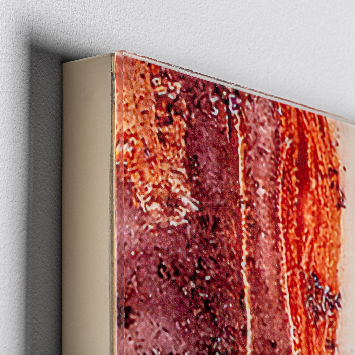 Tablou plexiglas Art Deco coral|Tablouri moderne [5]