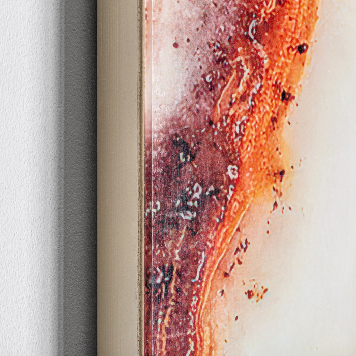 Tablou plexiglas Art Deco coral|Tablouri moderne [4]