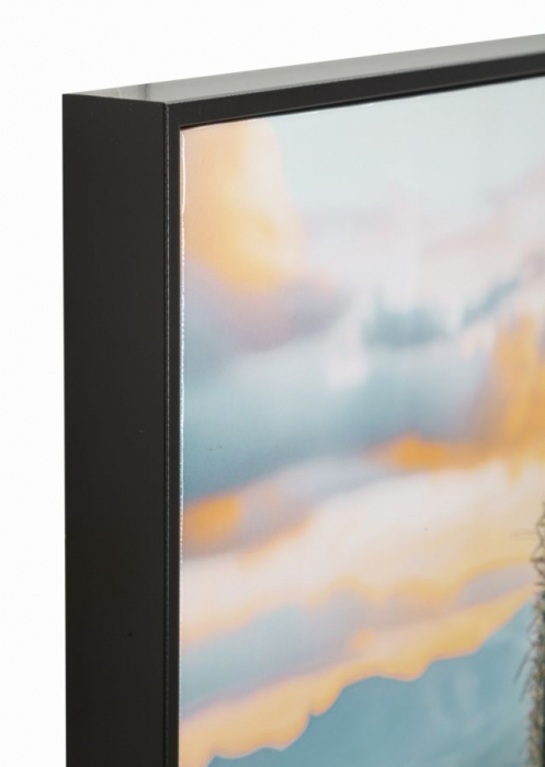 Tablou peisaj montan cu cactus 60x90 cm – imagine naturală pe pânză cu ramă neagră [3]