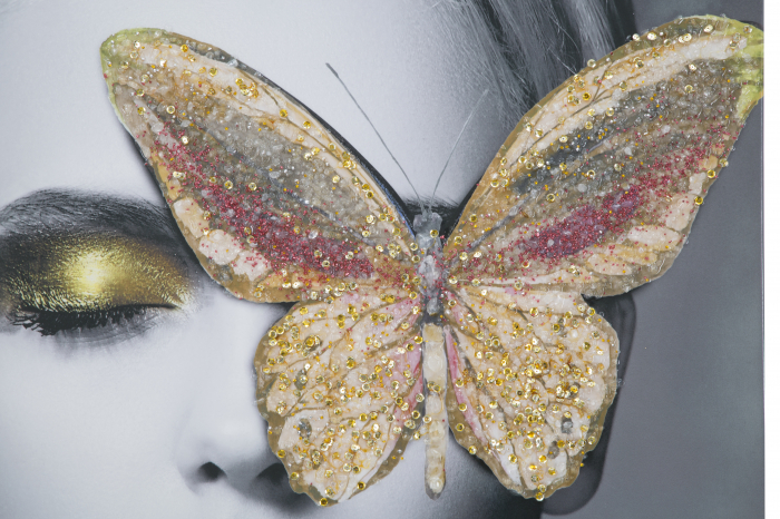 Tablou print cu aplicatii Butterfly, canvas [3]