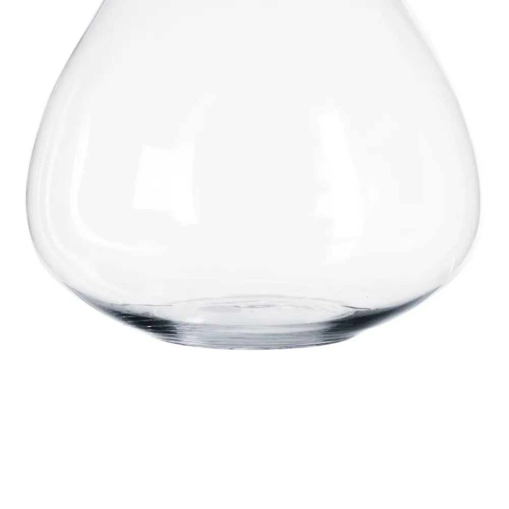 Vază din sticlă transparentă cu formă rotundă organică [4]