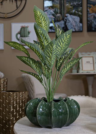 Bol decorativ ceramic verde Cactus [1]