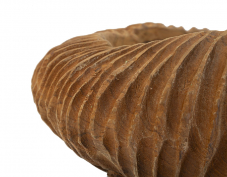 Bol decorativ lemn tec rotund [4]