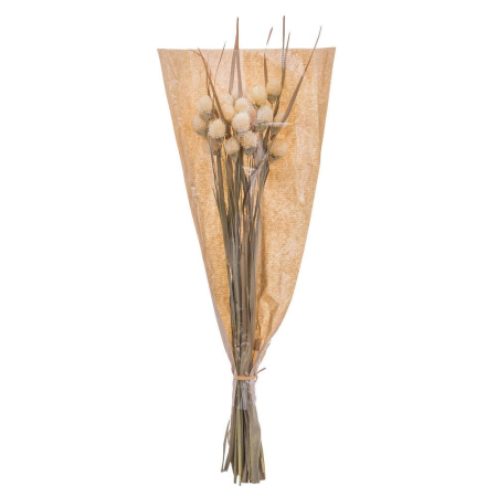 Obiecte decorative - Buchet de flori uscate cu capete crem de scai și frunze lungi în nuanță naturală pentru vază