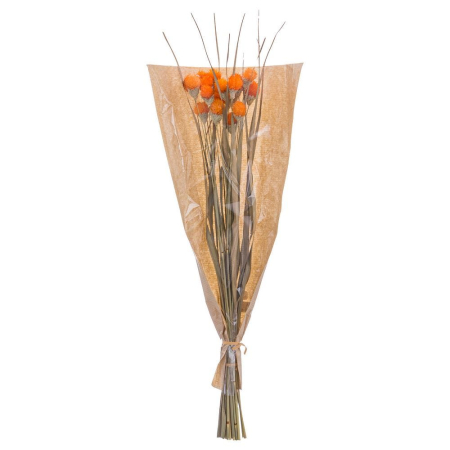 Craciun - Buchet de flori uscate cu capete portocalii de scai și frunze lungi pentru vază înaltă