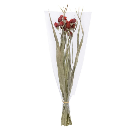 Craciun - Buchet de flori uscate cu capete roșii de scai și frunze lungi pentru vază înaltă