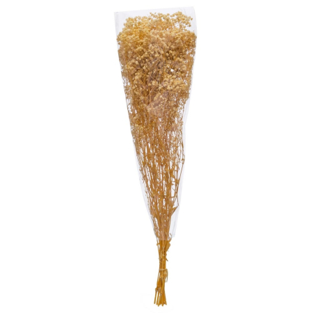 Scandinav - Buchet de flori uscate paniculata în nuanță naturală de miere și paie pentru vază înaltă