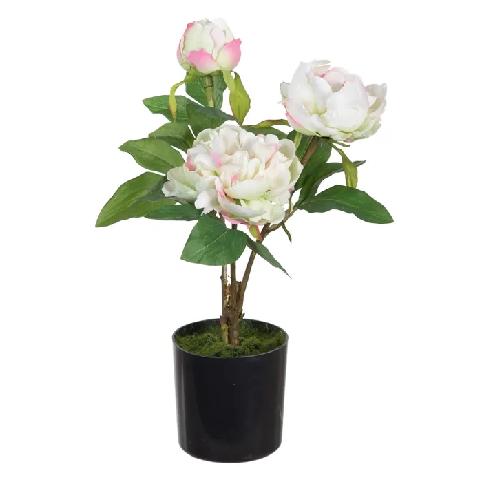 MEGA PROMOTII - Bujor Alb Artificial in Ghiveci | Flori Decorative Elegante