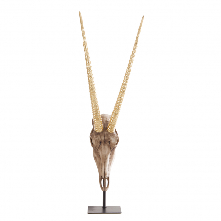 Obiecte decorative - Bust capra scandinav|Bust decorativ maro auriu|Statuete moderne