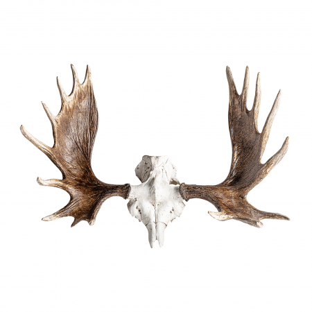 Decoratiuni perete - Bust cerb scandinav|Decoratiuni animale moderne