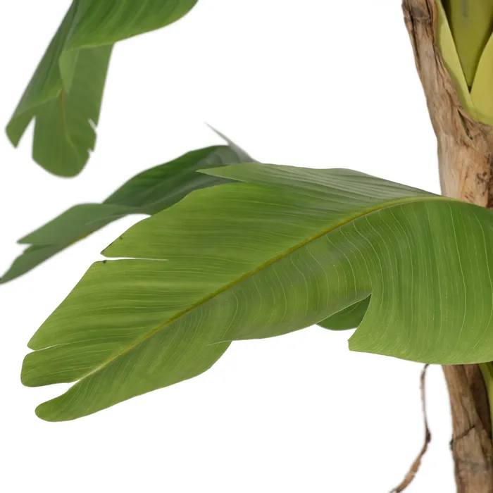 Copac Artificial Bananier Inalt | Plante Artificiale Tropicale [3]