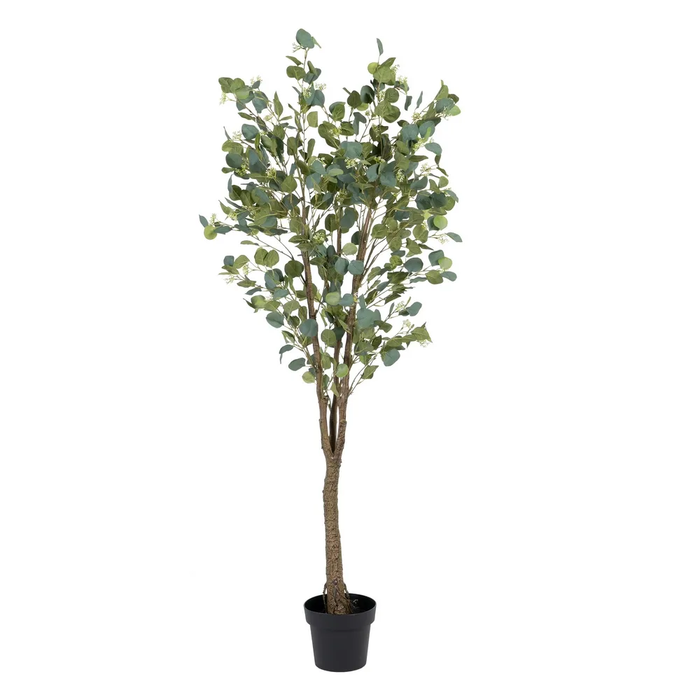 Obiecte decorative - Copac artificial inalt de eucalipt | Plante mari de interior
