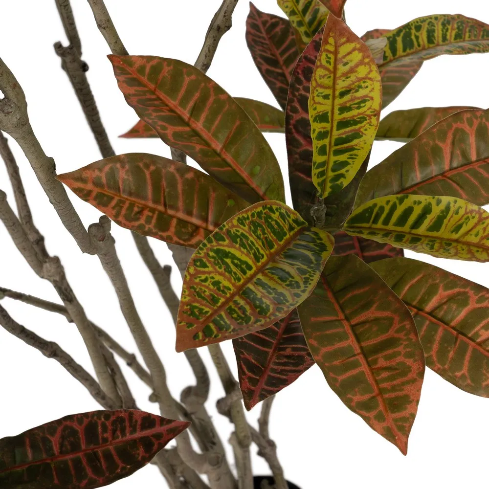 Copac artificial Croton | Decoratiuni exotice pentru interior [3]