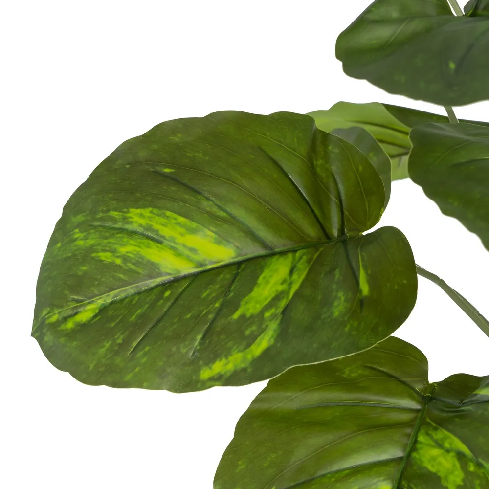 Crenguta frunze exotice verzi | Decoratiuni tropicale | Vaze inalte [1]