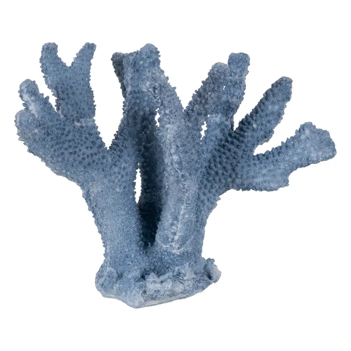 CADOURI - Coral decorativ rasina albastra premium|Decoratiuni marine rafinate
