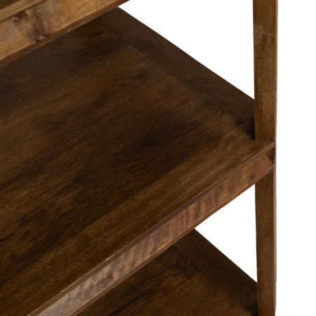 Etajeră living din lemn de mango maro [5]