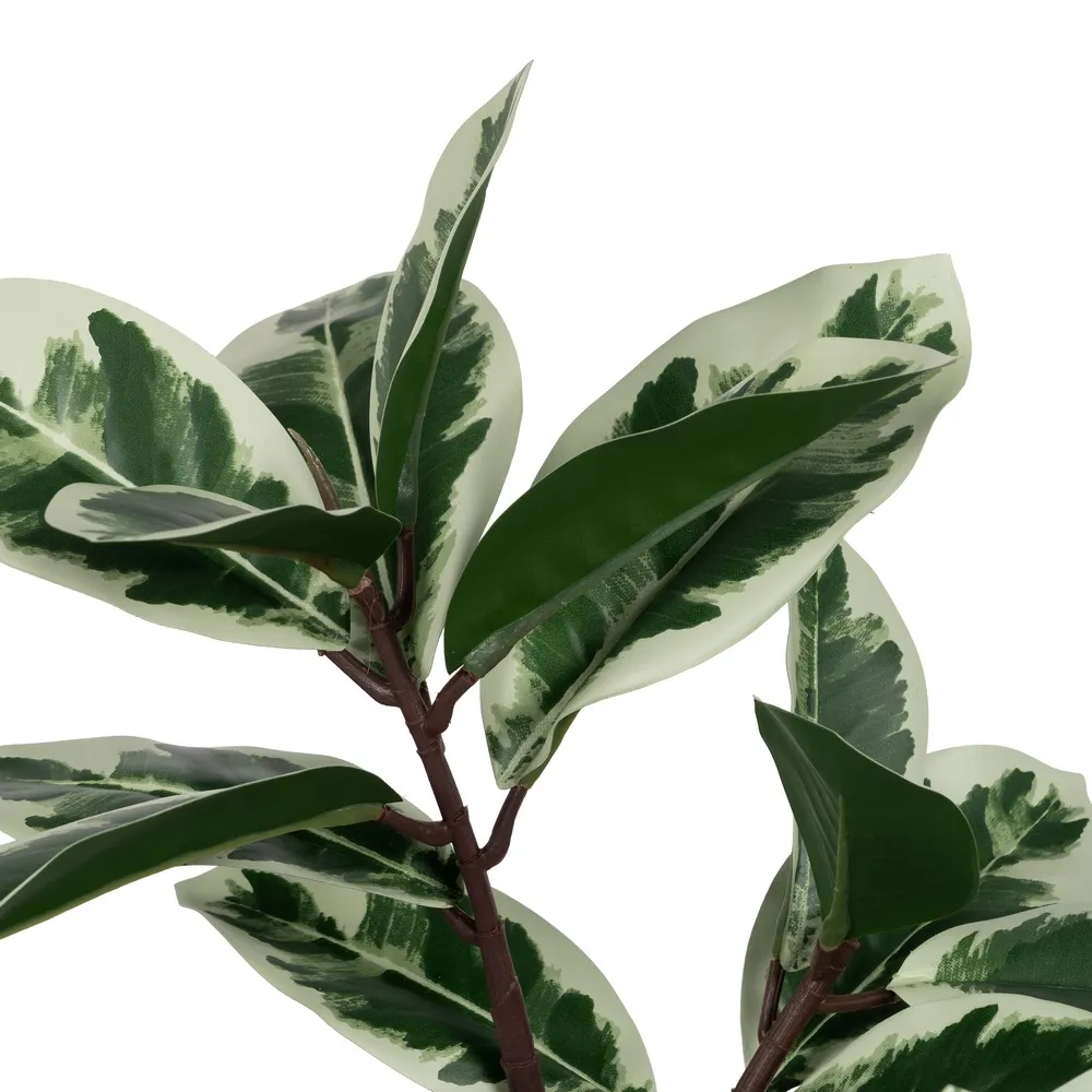 Ficus artificial bicolor | Plante artificiale pentru spatii de birou [1]
