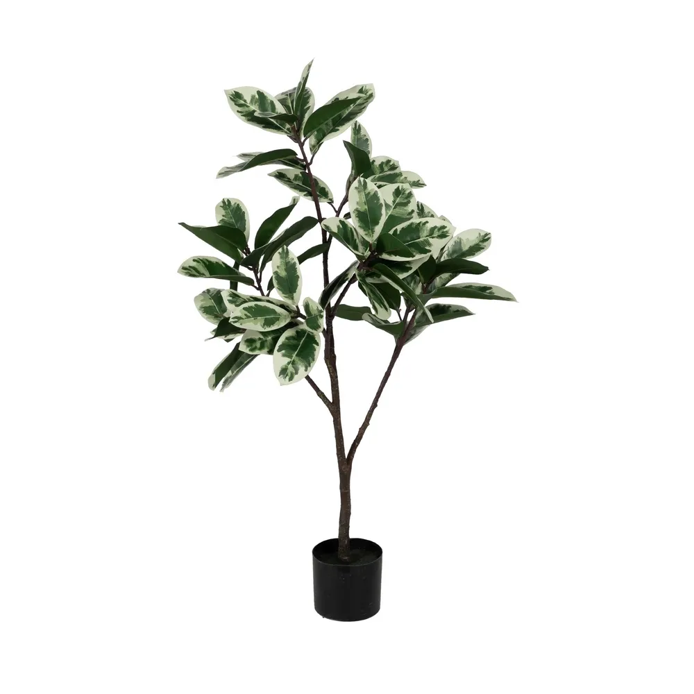Obiecte decorative - Ficus artificial bicolor | Plante artificiale pentru spatii de birou