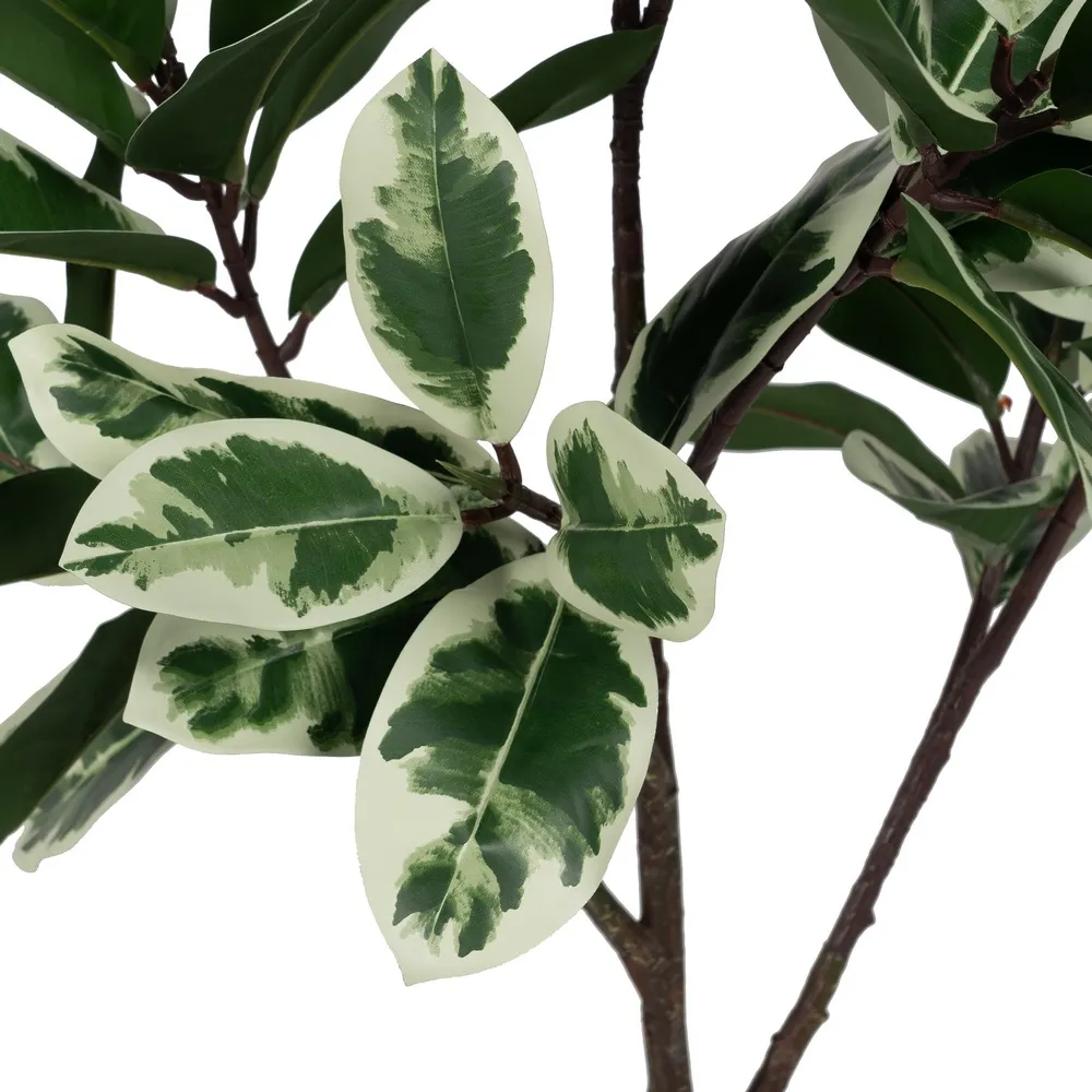 Ficus artificial bicolor | Plante artificiale pentru spatii de birou [2]
