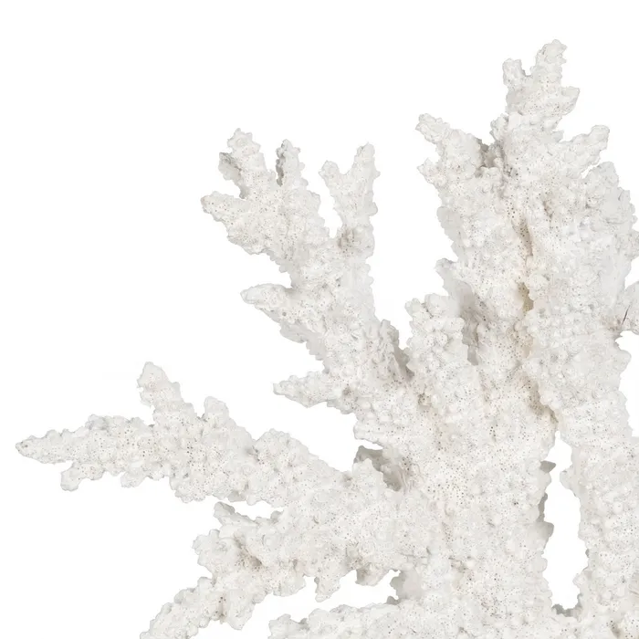 Figurina coral mare rasina alba|Decoratiuni marine rafinate [2]