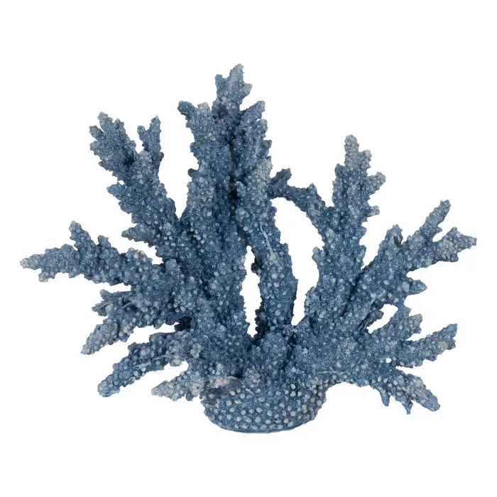 CADOURI - Coral decorativ rasina albastra|Decoratiuni marine tematice