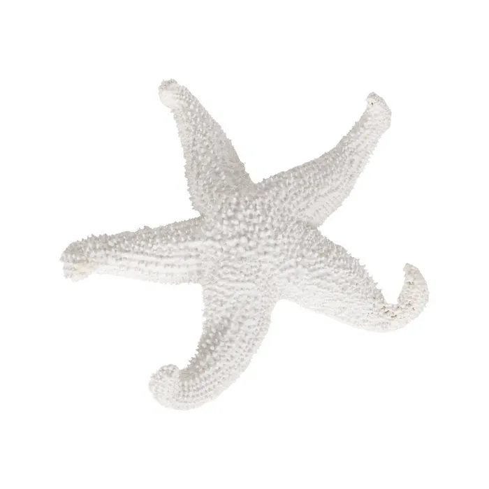 Tema Marina - Set stea de mare rasina alba|Decoratiuni marine elegante