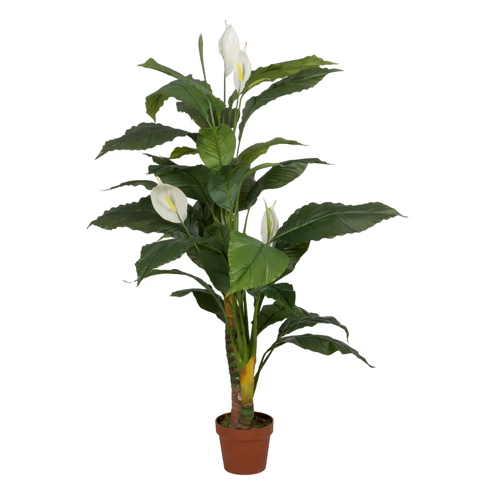 Obiecte decorative - Ghiveci cu flori artificiale Spathiphyllum | Flori albe decorative
