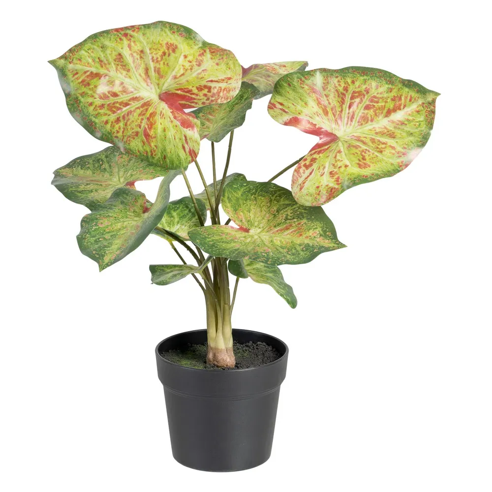 MEGA PROMOTII - Planta Artificiala Caladium | Plante Artificiale Colorate