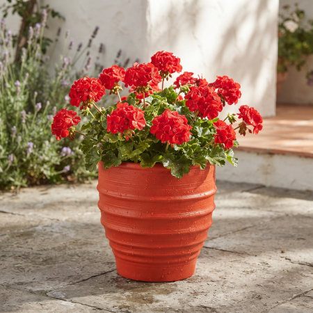 Ghivece, Vase Exterior - Ghiveci mare din rășină teracotă, versiune amplificată