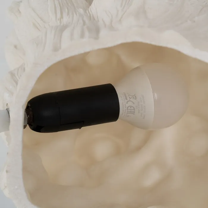 Lampa coral sofisticata|Lampi de masa pentru decoruri elegante [4]
