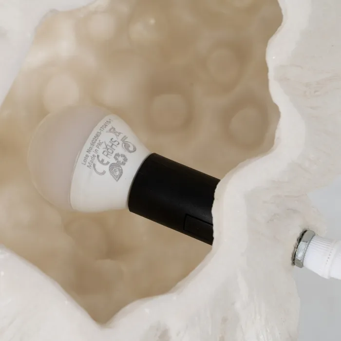 Lampa coral naturala|Lampi de masa pentru decoruri sculpturale [4]