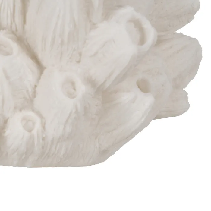 Lampa coral naturala|Lampi de masa pentru decoruri sculpturale [3]