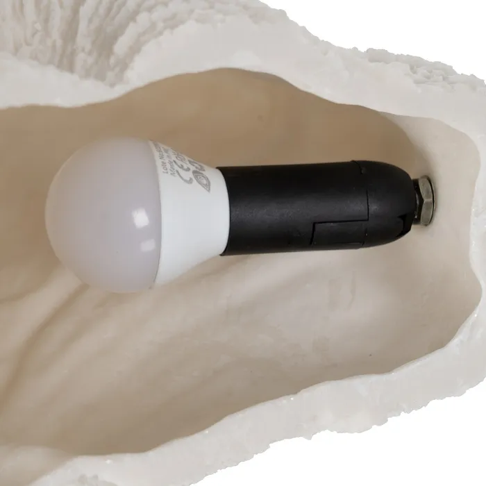 Lampa coral naturala|Lampi de masa pentru decoruri organice [4]