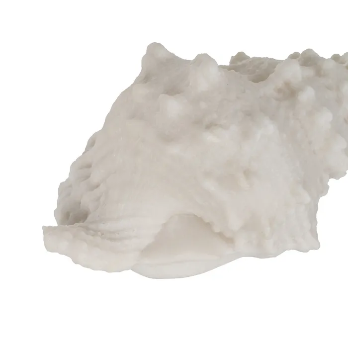 Set lămpi scoică marin|Iluminat ambiental elegant [1]