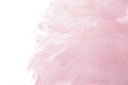 Lampadar auriu cu pene roz Slim Rosa [3]