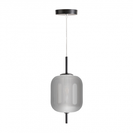 Lustra industriala argintie|Iluminat modern compact [1]